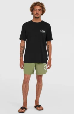 Homme O'Neill Shorts De Bain|Protection Anti-Uv-HommesShort de bain Original Cali 16''| Vert