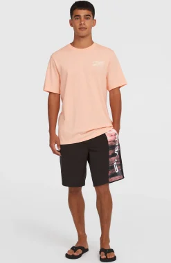 Homme O'Neill Shorts De Bain|Protection Anti-Uv-HommesShort de bain Retro 19''| Rose