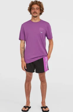 Homme O'Neill Shorts De Bain|Protection Anti-Uv-HommesShort de bain Retro 14''| Violet Mix