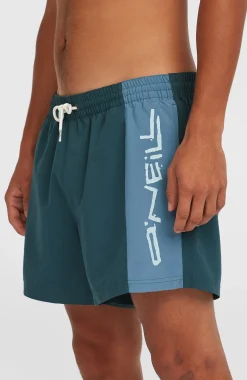 Homme O'Neill Shorts De Bain|Protection Anti-Uv-HommesShort de bain Retro 14''| Bleu Mix