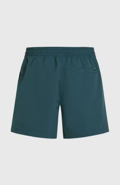 Homme O'Neill Shorts De Bain|Protection Anti-Uv-HommesShort de bain Retro 14''| Bleu Mix
