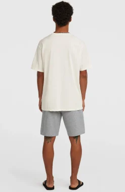 Homme O'Neill Shorts|Protection Anti-Uv-HommesShort de survêtement Small Logo| Gris