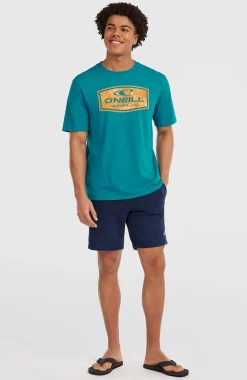 Homme O'Neill Shorts|Protection Anti-Uv-HommesShort de survêtement Small Logo| Bleu