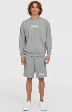 Homme O'Neill Shorts|Protection Anti-Uv-HommesShort Future Surf Society| Gris