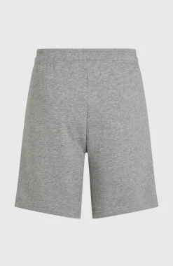 Homme O'Neill Shorts|Protection Anti-Uv-HommesShort Future Surf Society| Gris