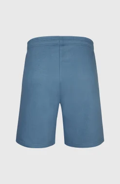 Homme O'Neill Shorts|Protection Anti-Uv-HommesShort Future Surf Society| Bleu