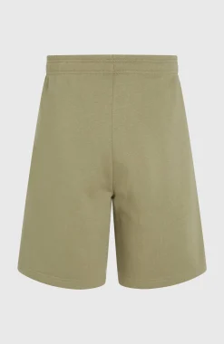 Homme O'Neill Shorts|Protection Anti-Uv-HommesShort Future Surf Society| Vert