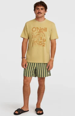 Homme O'Neill Shorts De Bain|Protection Anti-Uv-HommesShorts de bain O'Riginals Stripe 15| Jaune