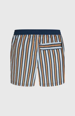 Homme O'Neill Shorts De Bain|Protection Anti-Uv-HommesShorts de bain O'Riginals Stripe 15| Bleu