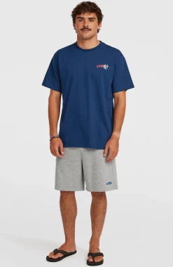 Homme O'Neill Shorts|Protection Anti-Uv-HommesShorts de survêtement Essentials 90s| Gris