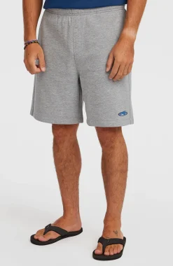 Homme O'Neill Shorts|Protection Anti-Uv-HommesShorts de survêtement Essentials 90s| Gris