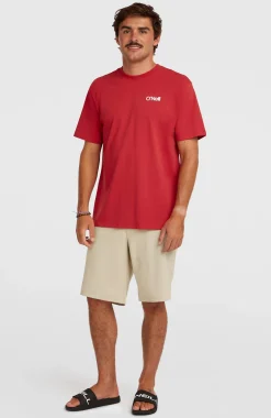 Homme O'Neill Shorts|Shorts Hybrid-HommesShorts Hybrid 19" Melange| Beige