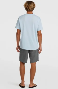 Homme O'Neill Shorts|Shorts Hybrid-HommesShorts Hybrid 19