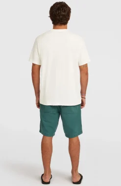 Homme O'Neill Shorts|Protection Anti-Uv-HommesShorts O'Riginals| Vert