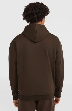 Homme O'Neill Sweats & Pulls|Protection Anti-Uv-HommesSweat à capuche Future Surf Society| Brun