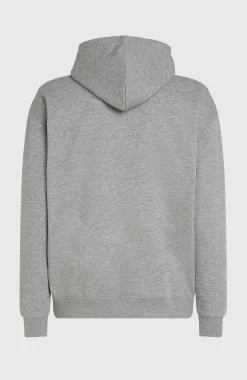 Homme O'Neill Sweats & Pulls|Protection Anti-Uv-HommesSweat à capuche Future Surf Society| Gris