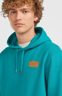 Homme O'Neill Sweats & Pulls|Protection Anti-Uv-HommesSweat à capuche Graphic| Bleu