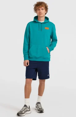 Homme O'Neill Sweats & Pulls|Protection Anti-Uv-HommesSweat à capuche Graphic| Bleu
