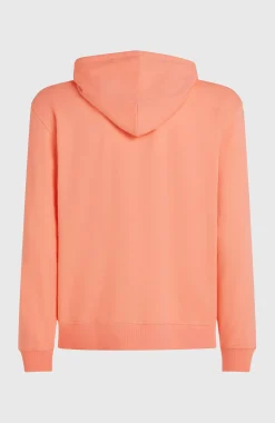 Homme O'Neill Sweats & Pulls|Protection Anti-Uv-HommesSweat à capuche Logo| Rose