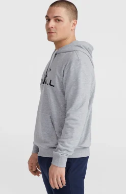 Homme O'Neill Sweats & Pulls|Protection Anti-Uv-HommesSweat à capuche Logo| Gris