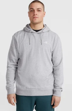 Homme O'Neill Sweats & Pulls|Protection Anti-Uv-HommesSweat à capuche Small Logo| Gris