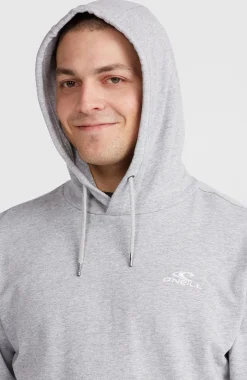 Homme O'Neill Sweats & Pulls|Protection Anti-Uv-HommesSweat à capuche Small Logo| Gris