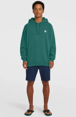 Homme O'Neill Sweats & Pulls|Protection Anti-Uv-HommesSweat à capuche O'Riginals Badge| Vert