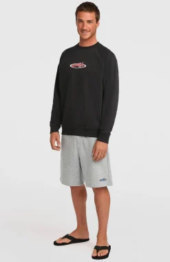 Homme O'Neill Sweats & Pulls|Protection Anti-Uv-HommesSweatshirt à col rond Essentials 90s Logo| Noire