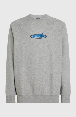 Homme O'Neill Sweats & Pulls|Protection Anti-Uv-HommesSweatshirt à col rond Essentials 90s Logo| Gris