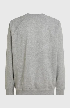 Homme O'Neill Sweats & Pulls|Protection Anti-Uv-HommesSweatshirt à col rond Essentials 90s Logo| Gris