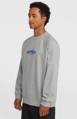 Homme O'Neill Sweats & Pulls|Protection Anti-Uv-HommesSweatshirt à col rond Essentials 90s Logo| Gris