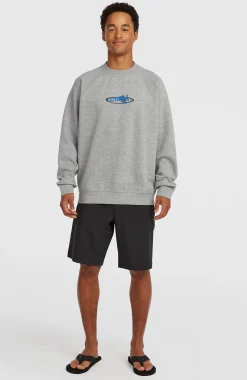 Homme O'Neill Sweats & Pulls|Protection Anti-Uv-HommesSweatshirt à col rond Essentials 90s Logo| Gris