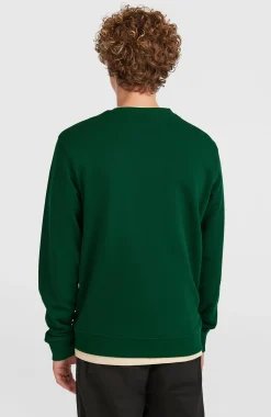 Homme O'Neill Sweats & Pulls|Protection Anti-Uv-HommesSweatshirt à col rond Small Logo| Vert