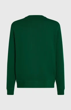 Homme O'Neill Sweats & Pulls|Protection Anti-Uv-HommesSweatshirt à col rond Small Logo| Vert