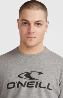 Homme O'Neill Sweats & Pulls|Protection Anti-Uv-HommesSweatshirt à col rond Logo| Gris