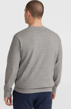 Homme O'Neill Sweats & Pulls|Protection Anti-Uv-HommesSweatshirt à col rond Logo| Gris