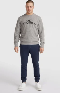 Homme O'Neill Sweats & Pulls|Protection Anti-Uv-HommesSweatshirt à col rond Logo| Gris