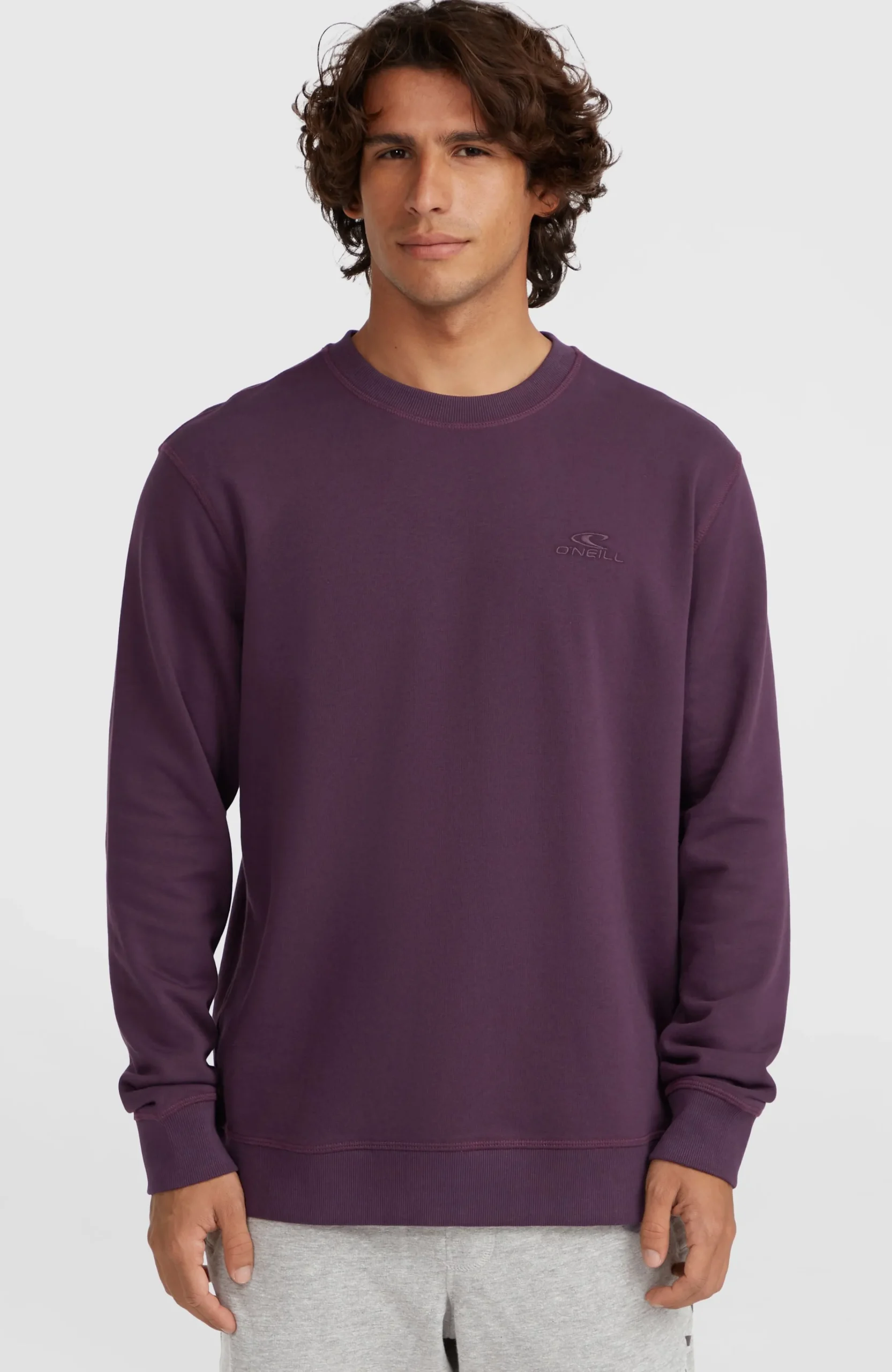 Homme O'Neill Sweats & Pulls|Protection Anti-Uv-HommesSweatshirt à col rond Small Logo| Violet