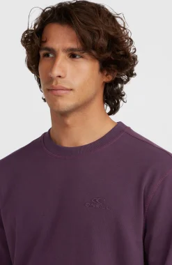 Homme O'Neill Sweats & Pulls|Protection Anti-Uv-HommesSweatshirt à col rond Small Logo| Violet
