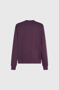 Homme O'Neill Sweats & Pulls|Protection Anti-Uv-HommesSweatshirt à col rond Small Logo| Violet