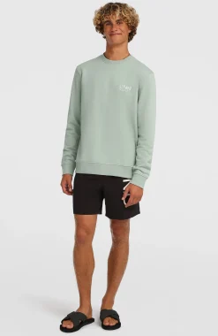 Homme O'Neill Sweats & Pulls|Protection Anti-Uv-HommesSweatshirt à col rond Original Cali Logo| Vert
