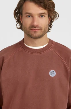 Homme O'Neill Sweats & Pulls|Protection Anti-Uv-HommesSweatshirt à col rond O'Riginals| Brun