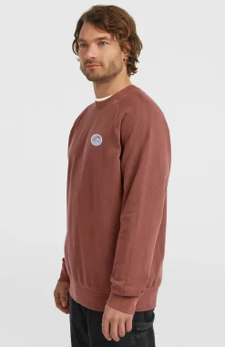 Homme O'Neill Sweats & Pulls|Protection Anti-Uv-HommesSweatshirt à col rond O'Riginals| Brun