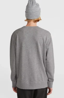 Homme O'Neill Sweats & Pulls|Protection Anti-Uv-HommesSweatshirt Small Logo Crew| Gris
