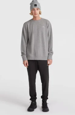 Homme O'Neill Sweats & Pulls|Protection Anti-Uv-HommesSweatshirt Small Logo Crew| Gris