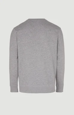 Homme O'Neill Sweats & Pulls|Protection Anti-Uv-HommesSweatshirt Small Logo Crew| Gris