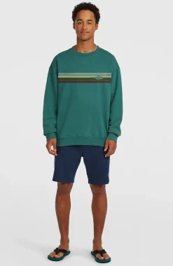 Homme O'Neill Sweats & Pulls|Protection Anti-Uv-HommesSweatshirt O'Riginals Crew| Vert