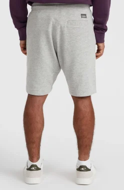 Homme O'Neill Shorts|Protection Anti-Uv-HommesSweatshort à logo | Gris