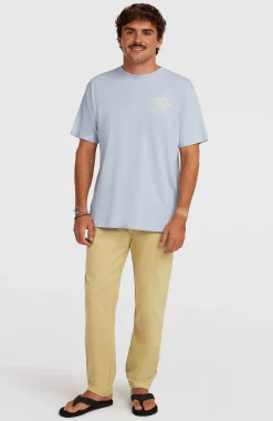 Homme O'Neill T-Shirts|Protection Anti-Uv-HommesT-shirt Box Logo| Bleu