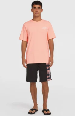 Homme O'Neill T-Shirts|Protection Anti-Uv-HommesT-shirt Box Logo| Rose